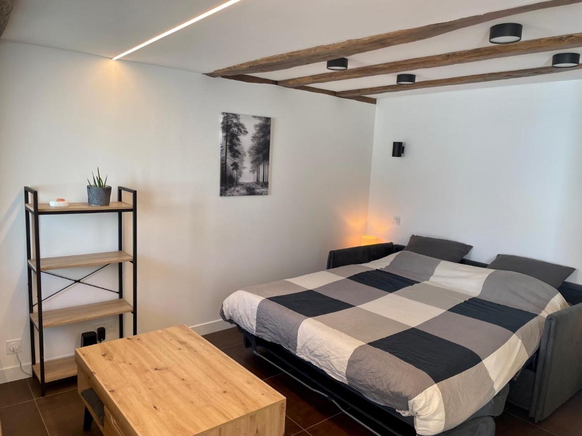 Studio De Charme Proche Nantes & Aeroport Au Calme Rezé Dış mekan fotoğraf